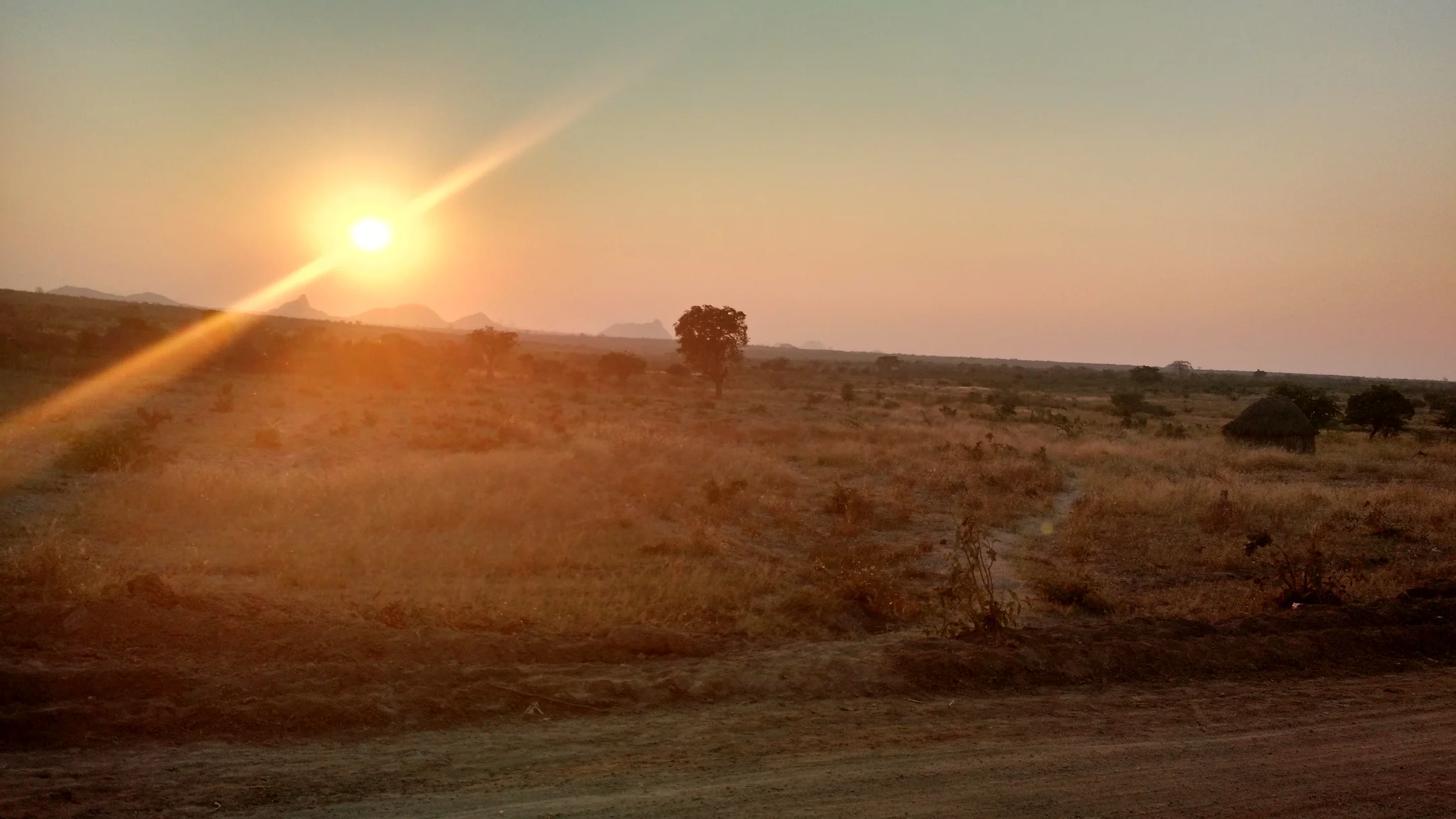 IMG_20150618_172632691_HDR