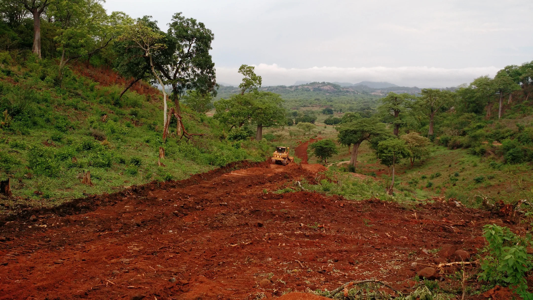 IMG_20151111_084827735